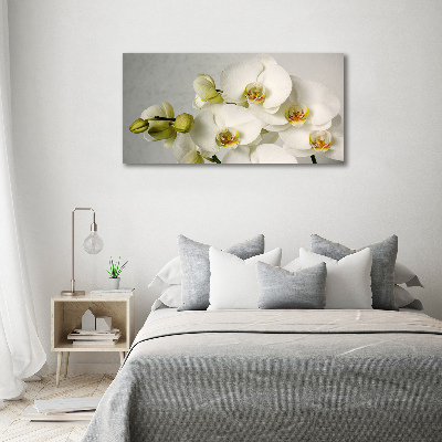 Foto obraz akrylový Biela orchidea