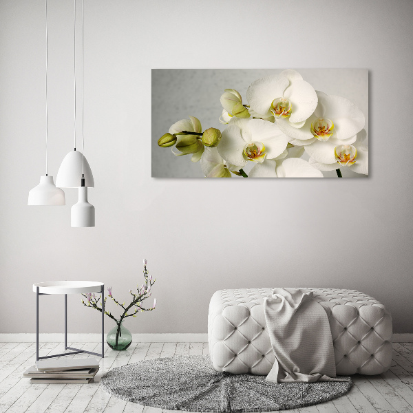 Foto obraz akrylový Biela orchidea