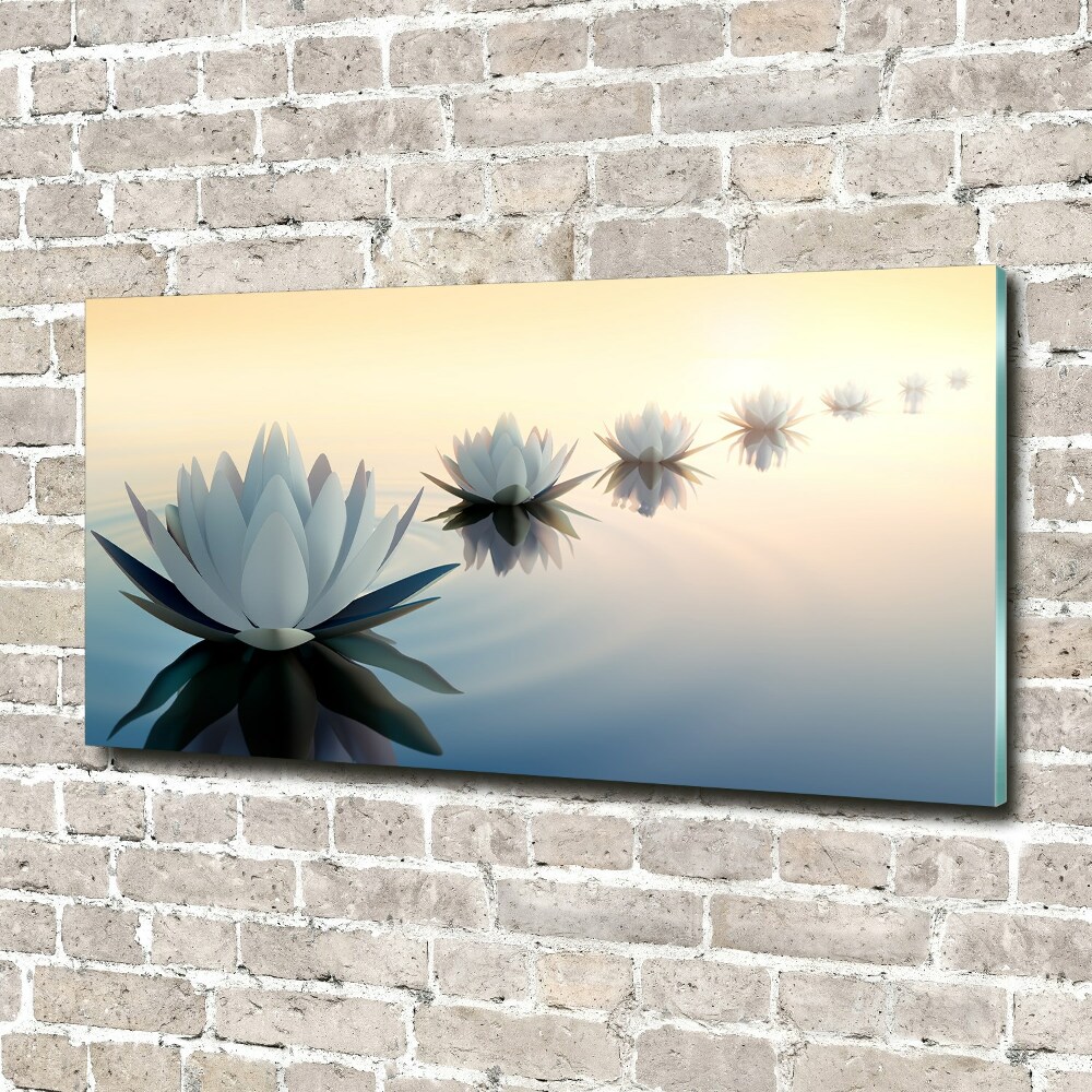Moderný obraz fotografie na akrylu Kvety lotosu