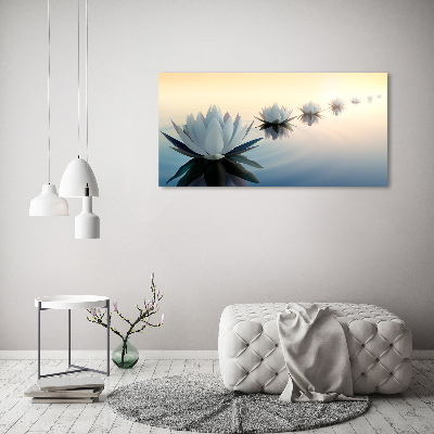 Moderný obraz fotografie na akrylu Kvety lotosu