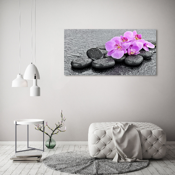 Moderný obraz fotografie na akrylu Orchidea kamenia