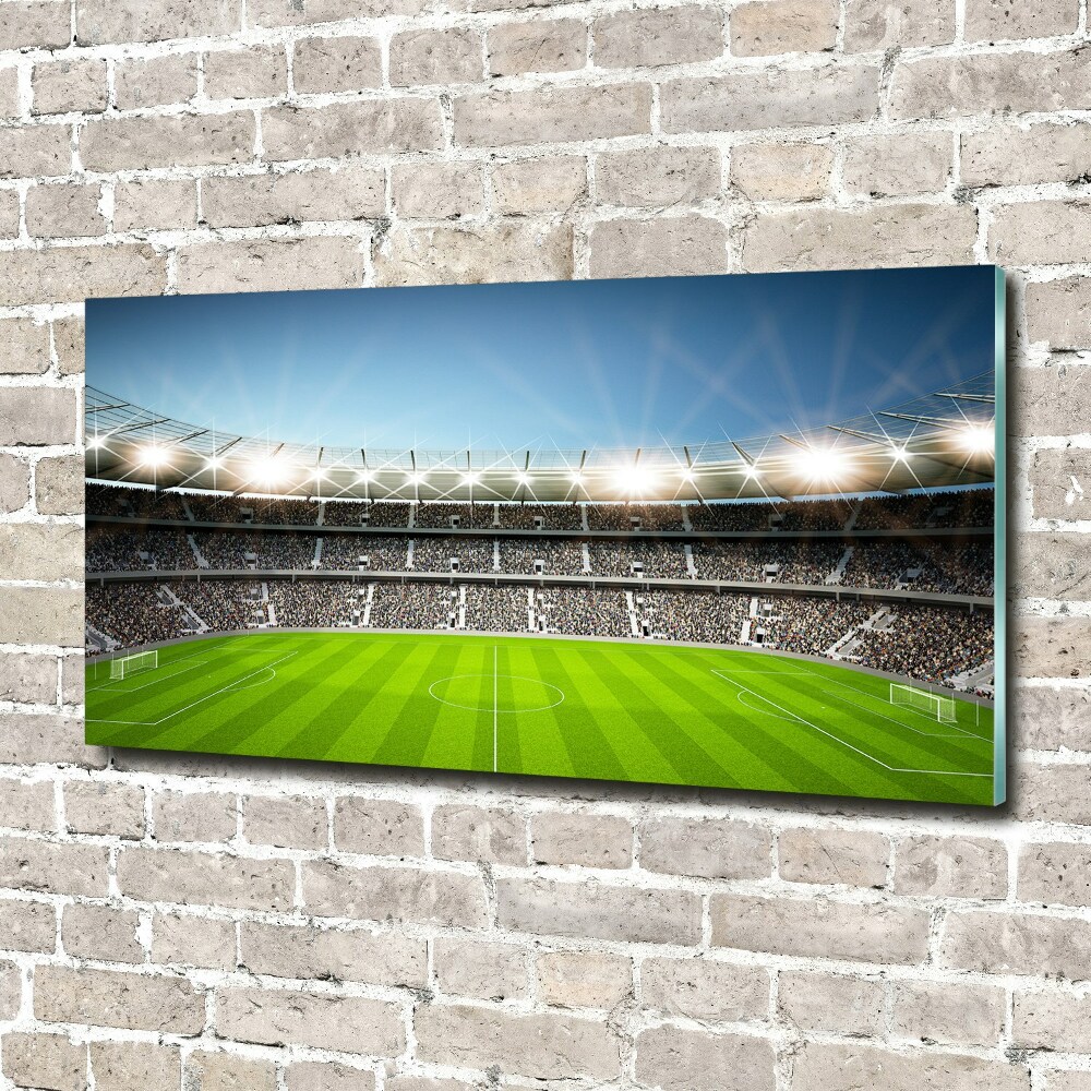 Foto obraz akrylový na stenu Štadión