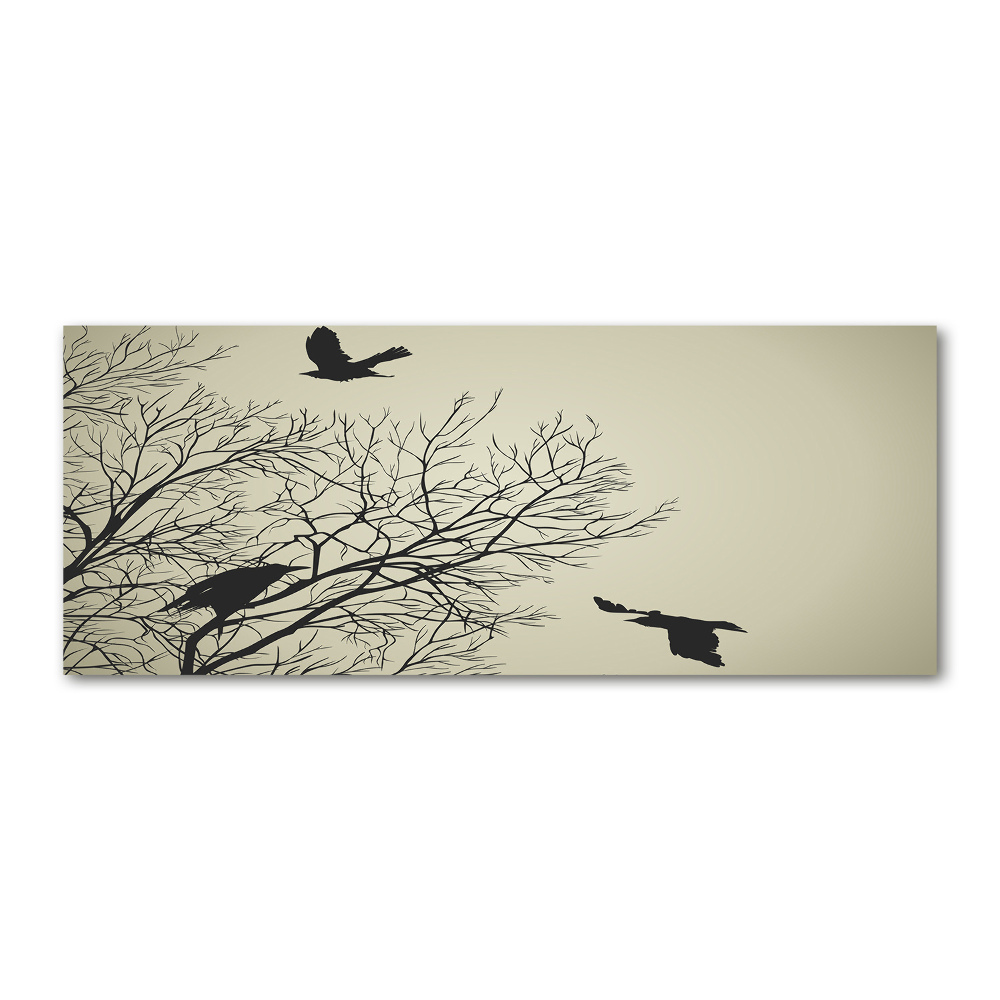 Foto obraz akrylové sklo Vrany na strome