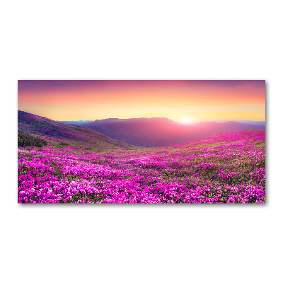 Foto obraz akrylový Ružové kopce