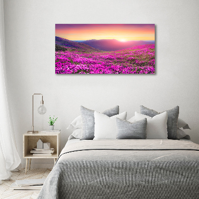 Foto obraz akrylový Ružové kopce