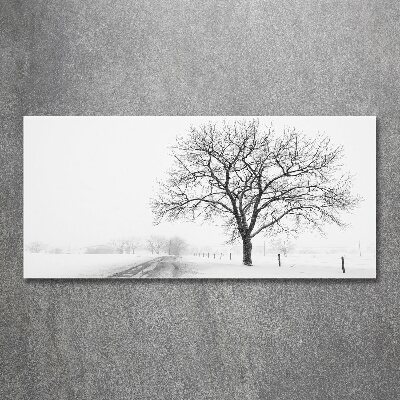 Foto obraz akrylový do obývačky Strom zima