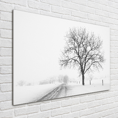 Foto obraz akrylový do obývačky Strom zima