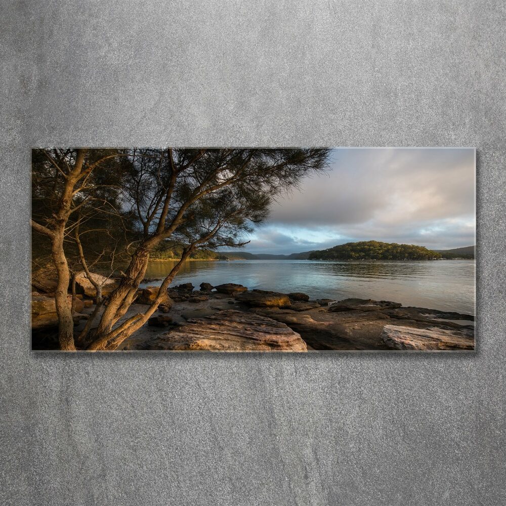 Foto obraz akryl do obývačky Strom nad riekou