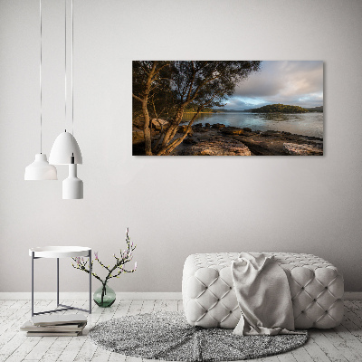 Foto obraz akryl do obývačky Strom nad riekou