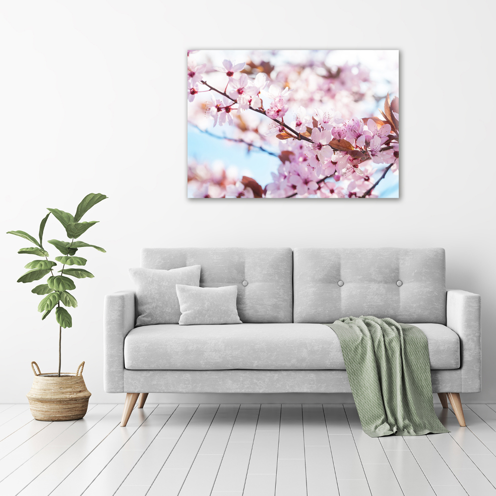 Foto obraz akrylový Kvety višne