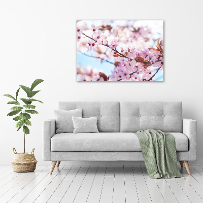 Foto obraz akrylový Kvety višne