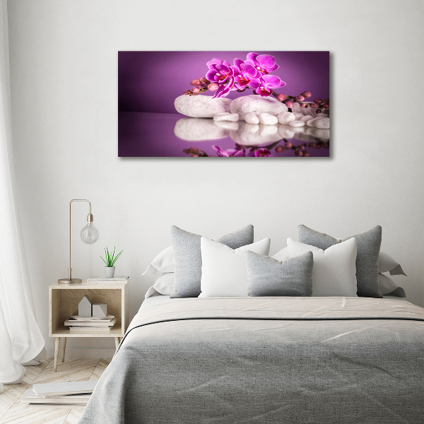 Moderný obraz fotografie na akrylu Ružová orchidea