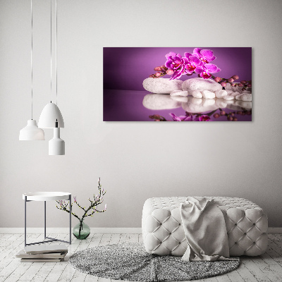 Moderný obraz fotografie na akrylu Ružová orchidea