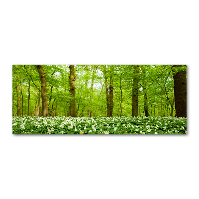 Foto obraz akrylové sklo Kvety v lese