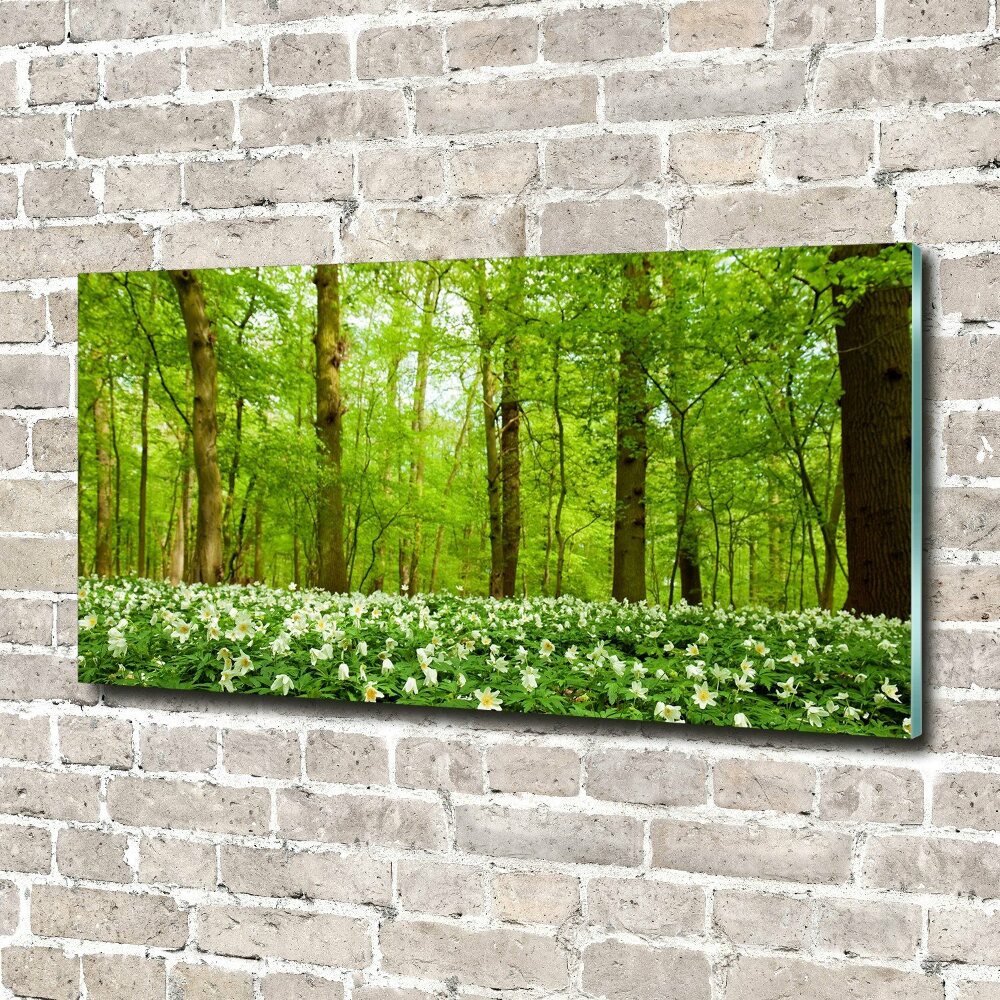 Foto obraz akrylové sklo Kvety v lese