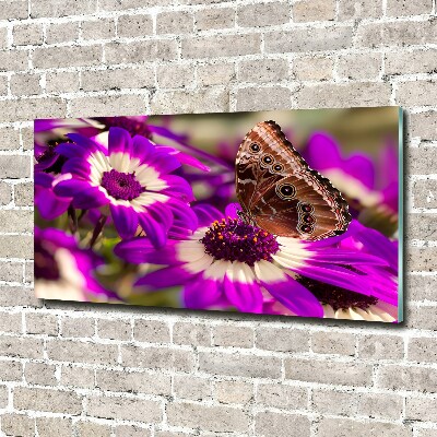 Foto obraz akrylové sklo Motýľ na kvetine