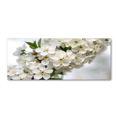Foto obraz akryl do obývačky Kvety višne