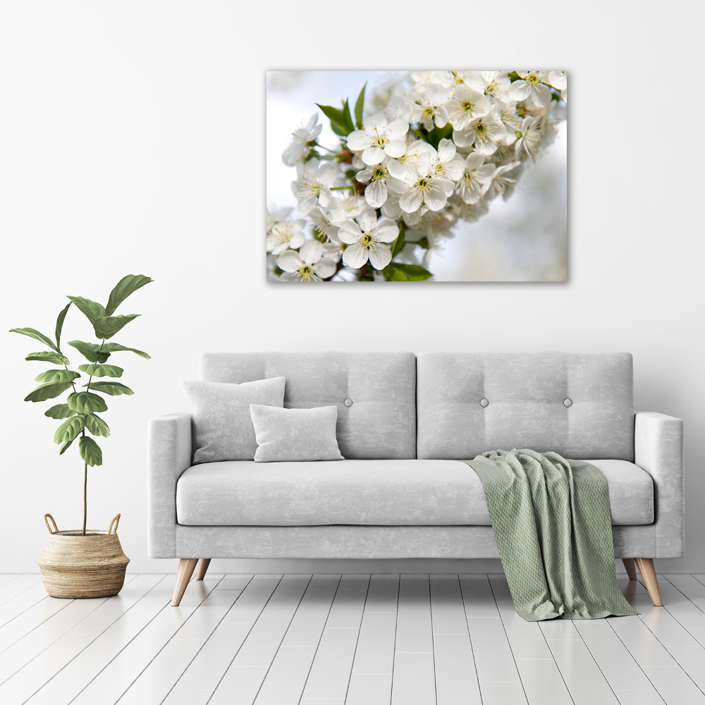 Foto obraz akryl do obývačky Kvety višne