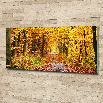 Foto obraz akrylový Jesenný les
