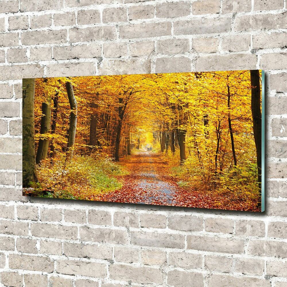 Foto obraz akrylový Jesenný les