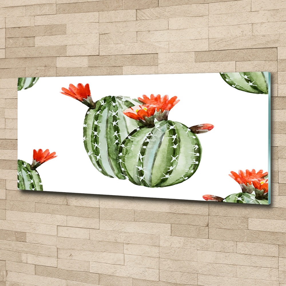 Foto obraz akrylový Kaktusy