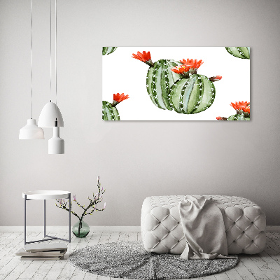 Foto obraz akrylový Kaktusy