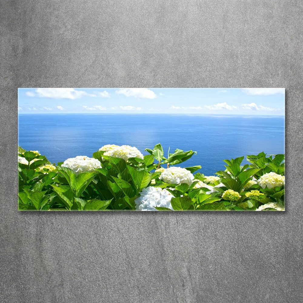 Foto obraz akrylový do obývačky Kvety nad morom