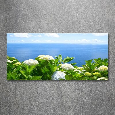Foto obraz akrylový do obývačky Kvety nad morom