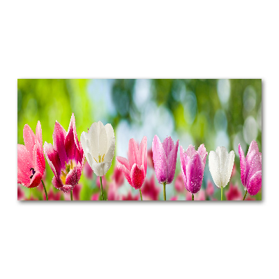 Moderný akrylový fotoobraz Tulipány