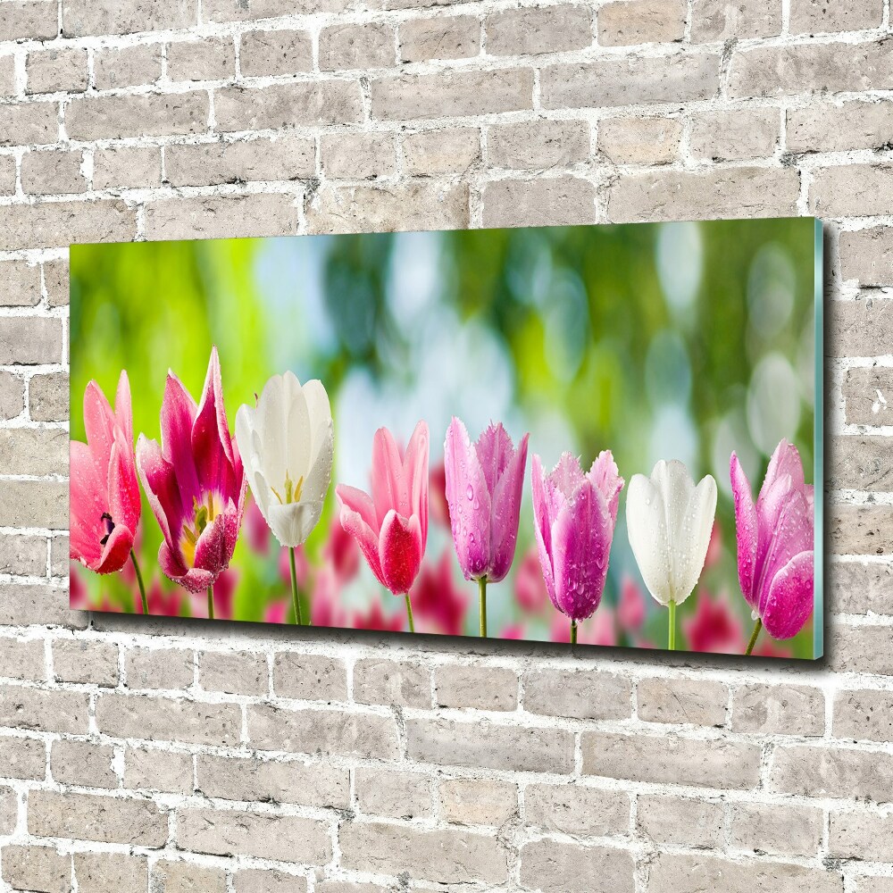 Moderný akrylový fotoobraz Tulipány