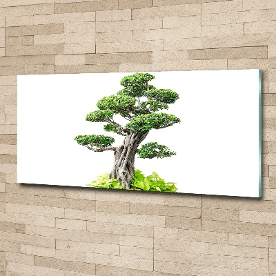 Foto obraz akryl zvislý do obývačky Bonsai