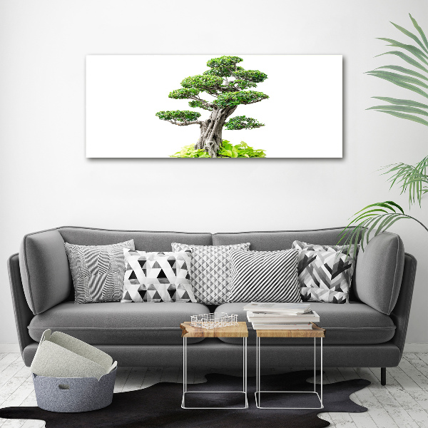 Foto obraz akryl zvislý do obývačky Bonsai