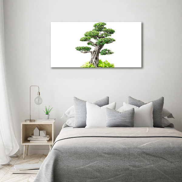 Foto obraz akryl zvislý do obývačky Bonsai