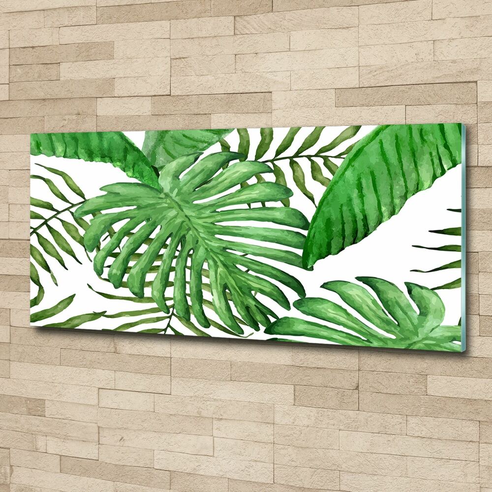 Moderný foto-obraz akryl na stenu Tropické lístia