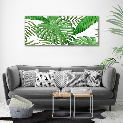 Moderný foto-obraz akryl na stenu Tropické lístia