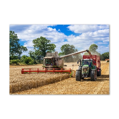 Foto obraz akrylový na stenu Kombajn a traktor