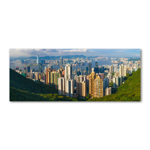 Foto obraz akrylové sklo Hongkong panorama