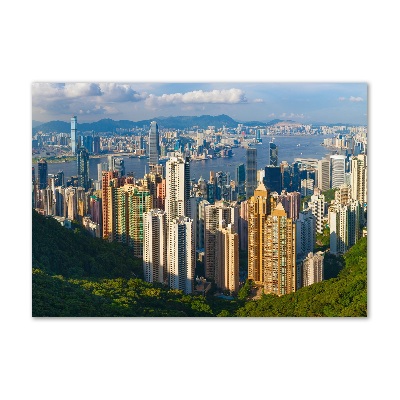 Foto obraz akrylové sklo Hongkong panorama