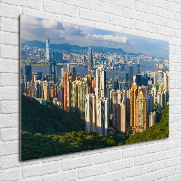 Foto obraz akrylové sklo Hongkong panorama