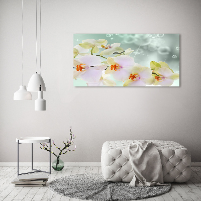 Foto obraz akryl do obývačky Biela orchidea