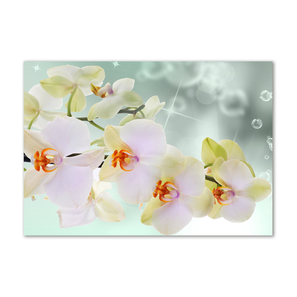 Foto obraz akryl do obývačky Biela orchidea