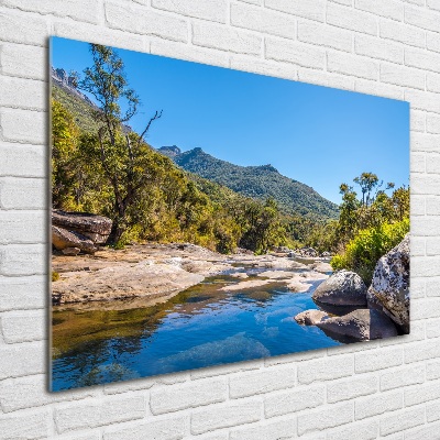 Foto obraz akrylový na stenu Rieka v lese