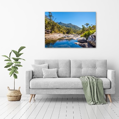 Foto obraz akrylový na stenu Rieka v lese