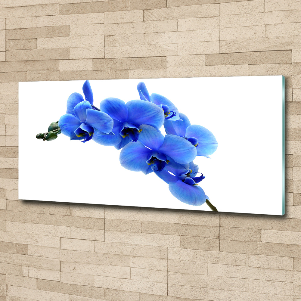 Foto obraz akrylové sklo Modrá orchidea