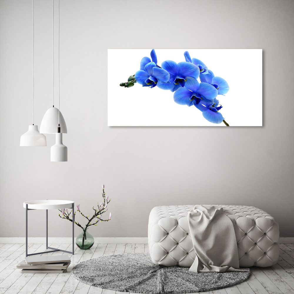Foto obraz akrylové sklo Modrá orchidea