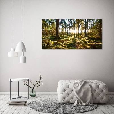 Foto obraz akrylový Sosnová les