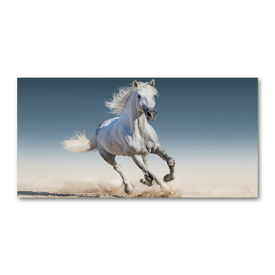 Foto obraz akrylové sklo Biely kôň v cvale