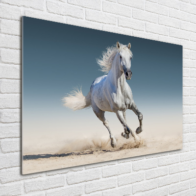 Foto obraz akrylové sklo Biely kôň v cvale