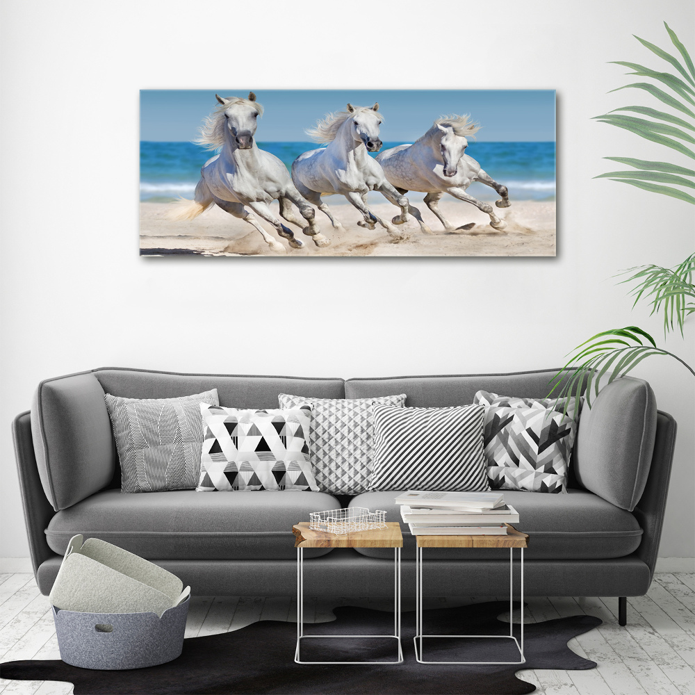 Foto obraz akrylový Biele kone pláž