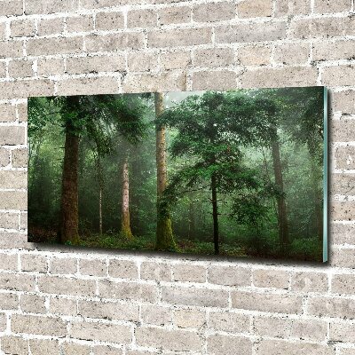 Foto obraz akryl do obývačky Hmla v lese